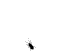 small logo
